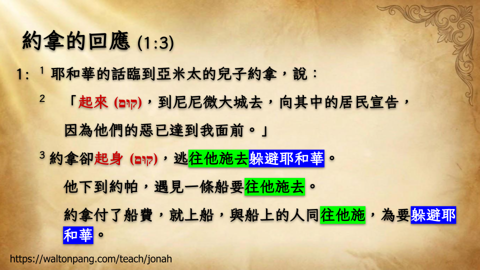 Slide 8
