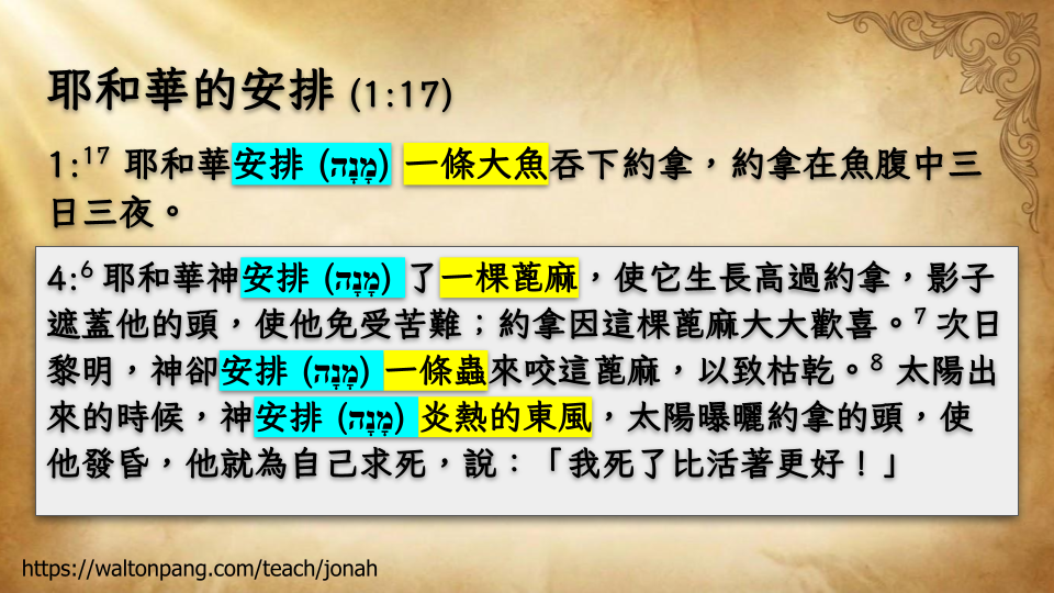 Slide 15